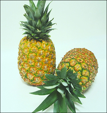 Ananas