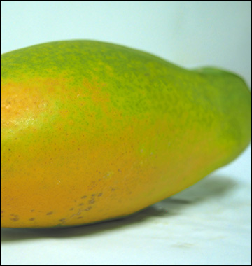 papaya