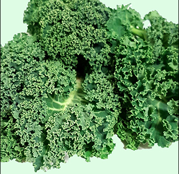 CURLY KALE