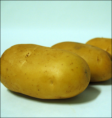 patate primura